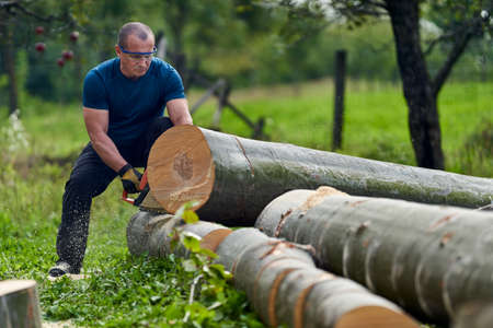Lumberjack cutting beech logs with the chainsawの写真素材