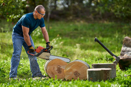 Lumberjack cutting beech logs with the chainsawの写真素材