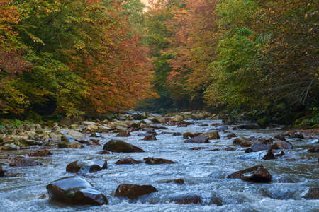 Vibrant landscape of a river slowly flowing through a colorful forest in the mid autumn