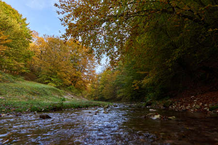 Vibrant landscape of a river slowly flowing through a colorful forest in the mid autumn