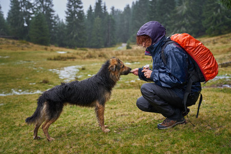 Woman hiker with backpack in rain coat feeding a stray dog