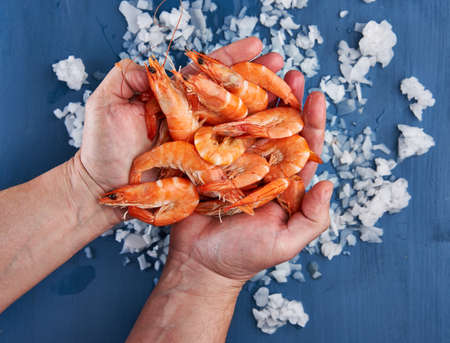 Fisherman hands holding a handful of red shrimp above iceの写真素材