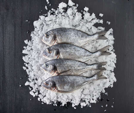 Raw bream on ice on a black wooden board  flat lay shot