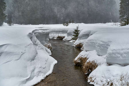 Landscape with a mountain river in the blizzard with snowの写真素材