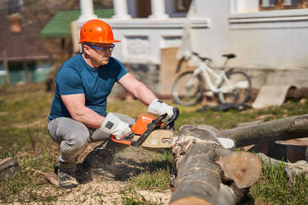 Lumberjack with chainsaw cutting big beech logs