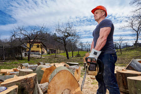 Lumberjack with chainsaw cutting big beech logs