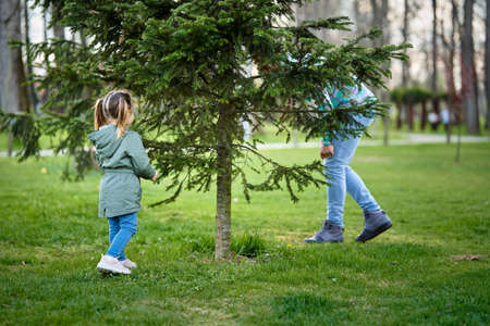 Little girl playing hide and seek with her dad in the parkの写真素材