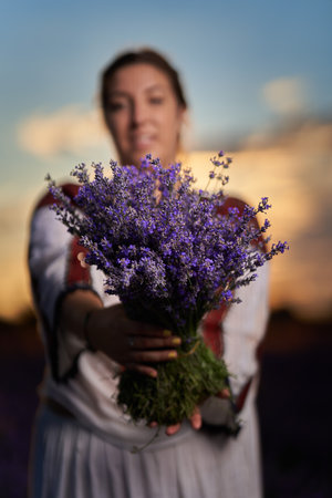 Young woman in traditional Romanian costume harvesting lavender from her gardenの写真素材