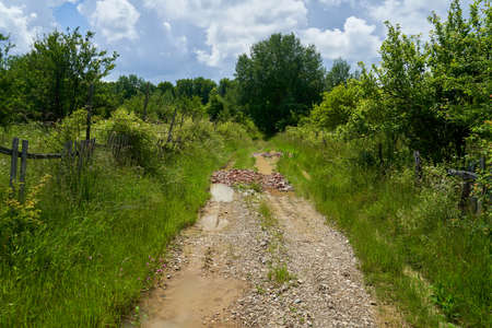 Muddy rural road going through the orchards and fields in the summerの写真素材