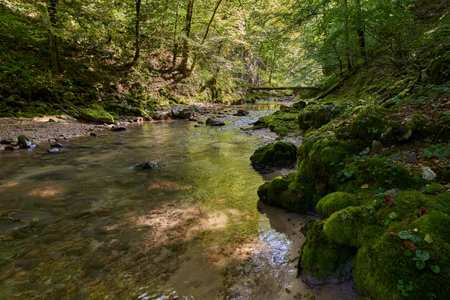 Untouched paradise in Romanian mountains with river gorge and pristine waters, mossy boulders and...