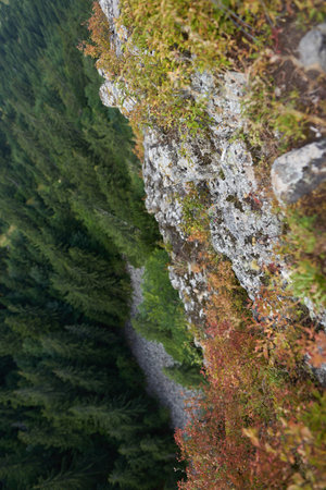 Massive drop landscape view of a cliff in the mountains covered in forests