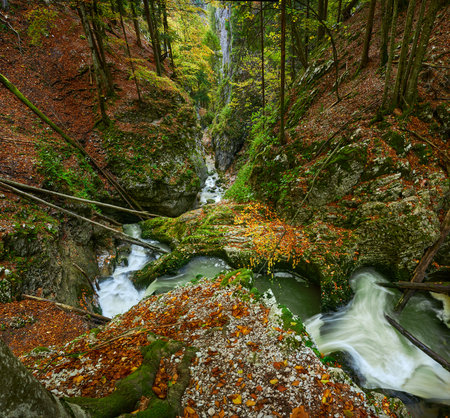 Vibrant landscape of a canyon with a river and lush colorful autumn forestsの写真素材