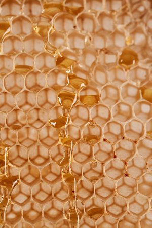 Closeup of a honey comb, empty without bees or honey inside, useful as background, texture or...