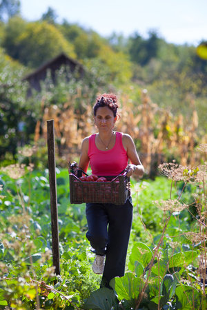 Woman working in the garden in the countrysideの写真素材