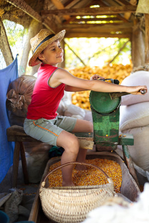 Boy processing corn by hand in the summer holiday