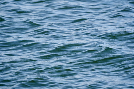 Waves on a lake in a sunny day in the springの写真素材