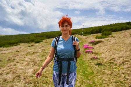 Woman hiker with backpack hiking on a mountain among pink rhododendron flowers in bloomの写真素材