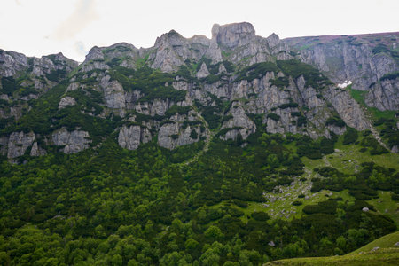 Summer alpine landscape with high mountains and pine and fir forestsの写真素材