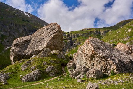 Summer alpine landscape with high mountains and pine and fir forests