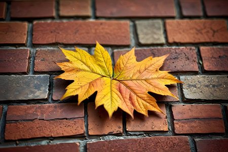 Autumn maple leaf on a brick wall. Autumn background. Toned.の素材