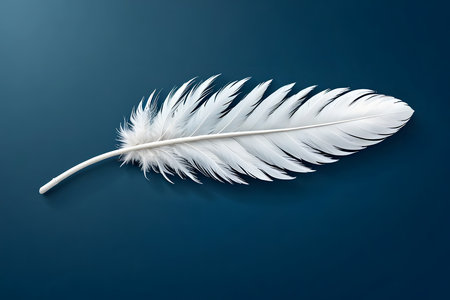 White feather on a blue background. Close-up. Top view.の素材