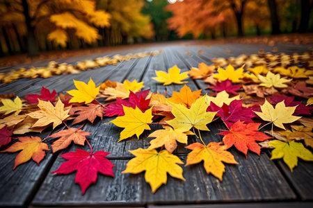 Colorful autumn leaves on a wooden walkway in the park.の素材