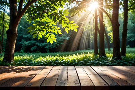 Empty table for product display montages. Wooden floor in the forest.の素材