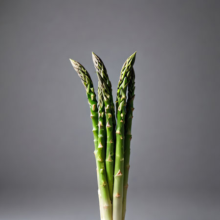 Bunch of asparagus on gray background, studio shot.の素材