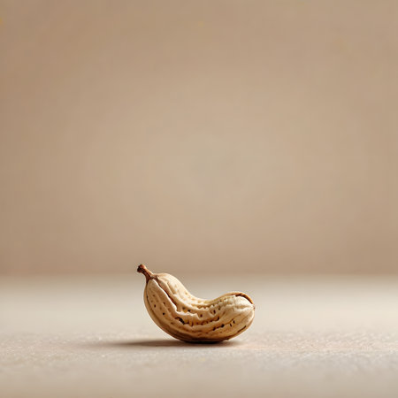 Roasted peanuts on beige background, shallow depth of field.の素材