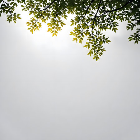 Tree branch with green leaves and sunlight on white background with copy spaceの素材