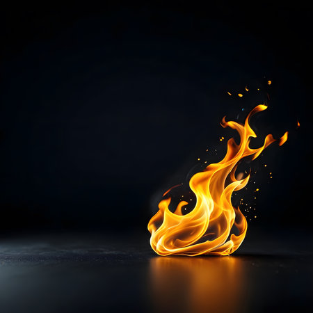 Fire flames isolated on black background. 3d rendering, 3d illustration.の素材