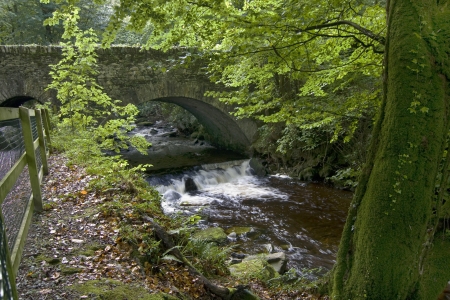 Torc waterfall in Killarney National Parkの写真素材
