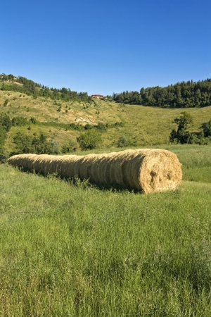 Green landscape sceneryの写真素材