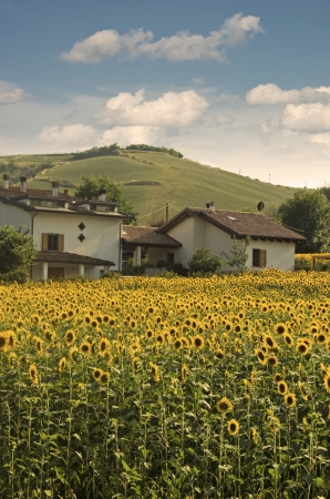 view of emilia romagna - italyの写真素材