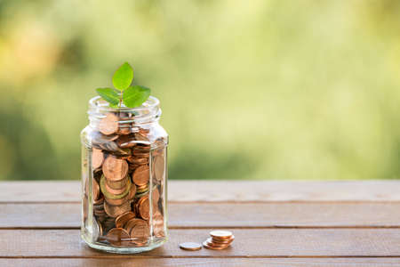 Plant growing from coins in the glass jar on blurred green natural background with sun light effect...