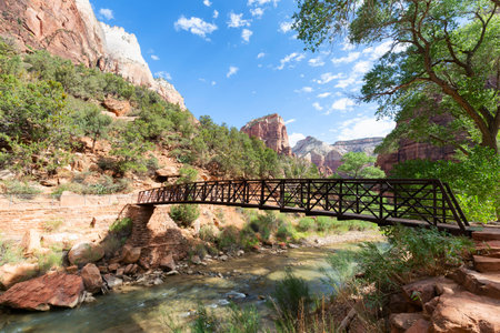 River flowing in the mountains. Virgin River, Pa'rus Trail. Zion National Park, Springdale, Utah.の写真素材