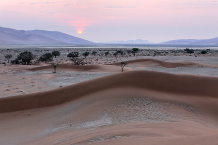 Namibia landscape with sand hills and dunes in Sossusvlei, Namib-Naukluft National Park, Namibia. Panorama of Namib desert at sunriseの写真素材