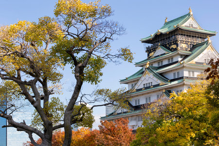 Osaka's landmark Osaka Castle castle tower that shines in the blue skyの写真素材