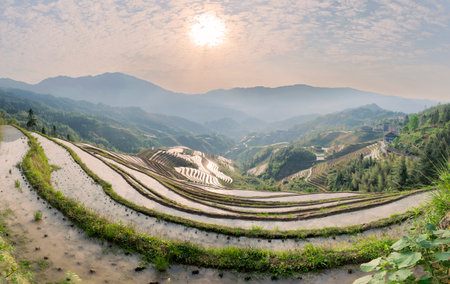 rice terraced fields of Wengjia Longsheng Chinaの写真素材