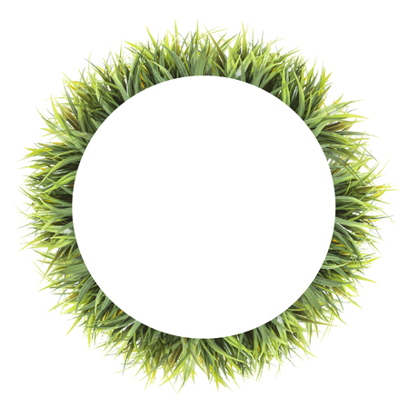 Green  banner collage frame from plants. Isolated on whiteの写真素材