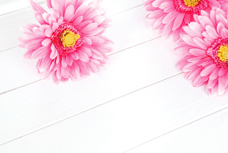 gerbera on a white background. Background for Valentine's Dayの写真素材
