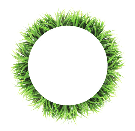 circle green grass frame isolated on white backgroundの写真素材
