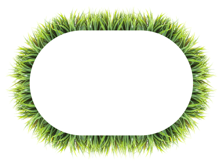 green grass frame on white background with space for your textの写真素材