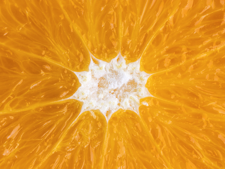 Slice of orange close-up. Orange texture for designers. Fresh Orange slice close upの写真素材