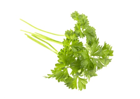 Branch of fresh parsley isolated on white, with clipping pathの写真素材