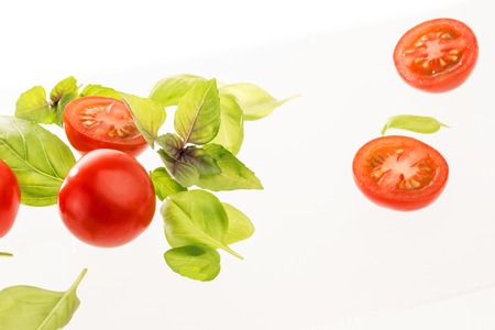 Tomatoes with basil on a white backgroundの写真素材
