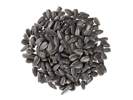 Black sunflower seeds isolated on white background with clipping pathの写真素材