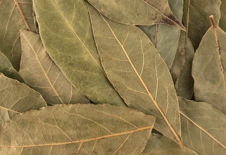 Closeup of Dry bay leaves background or texture