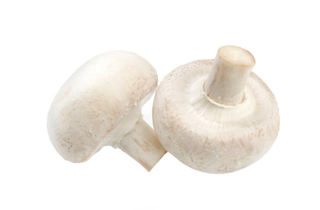 Mushroom champignon isolated on white background with clipping pathの写真素材