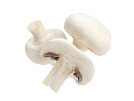 Mushroom champignon isolated on white backgroundの写真素材